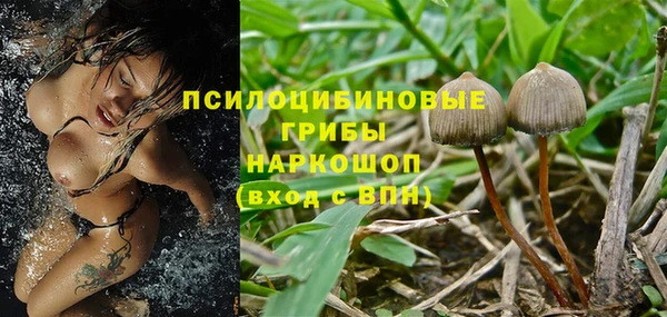 амф Майский