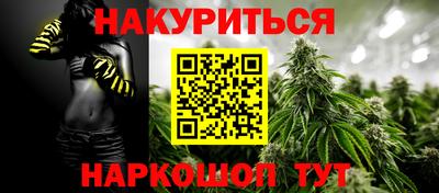 трава Новозыбков