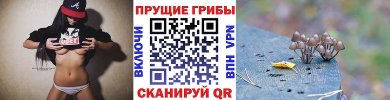 Псилоцибиновые грибы Psilocybe  Приморско-Ахтарск 