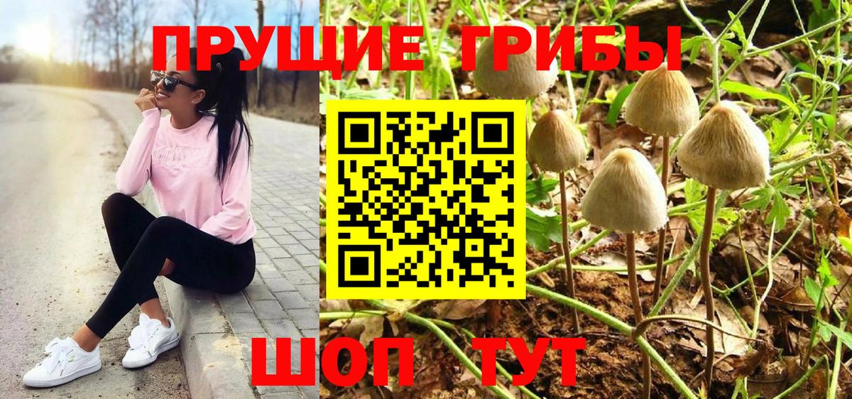 Приморско-Ахтарск  Галлюциногенные грибы Psilocybine cubensis  Вход с VPN 